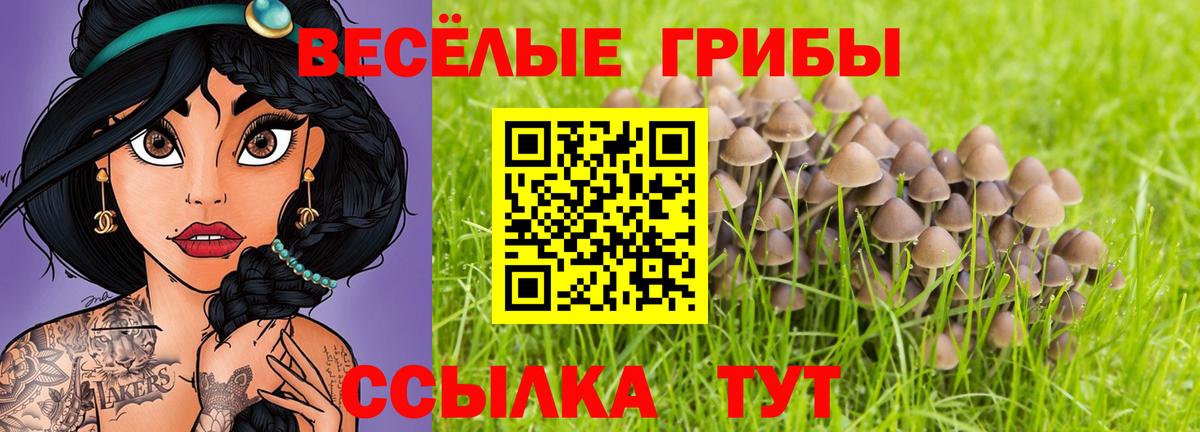 Галлюциногенные грибы MAGIC MUSHROOMS  Вход с VPN  Галлюциногенные грибы мухоморы  Саянск 
