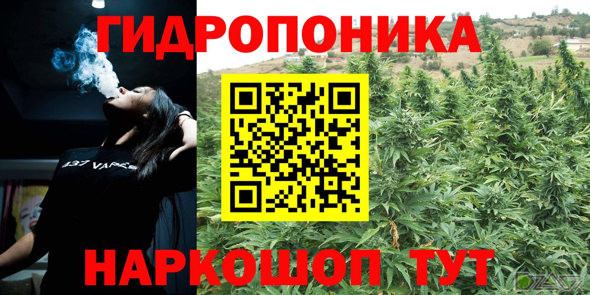 Шишки марихуана OG Kush  Вход с VPN  Саянск  Шишки марихуана тримм  Бошки марихуана сатива 